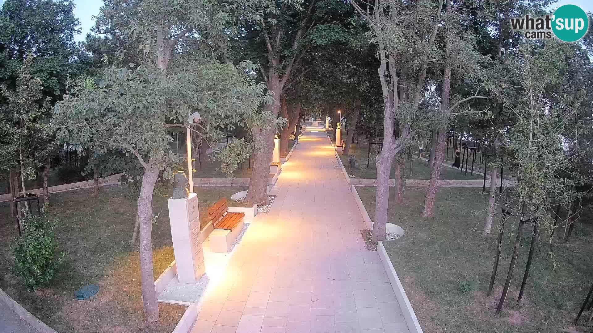 Webcam Parco degli Scrittori Segna – Diretta sul Mare