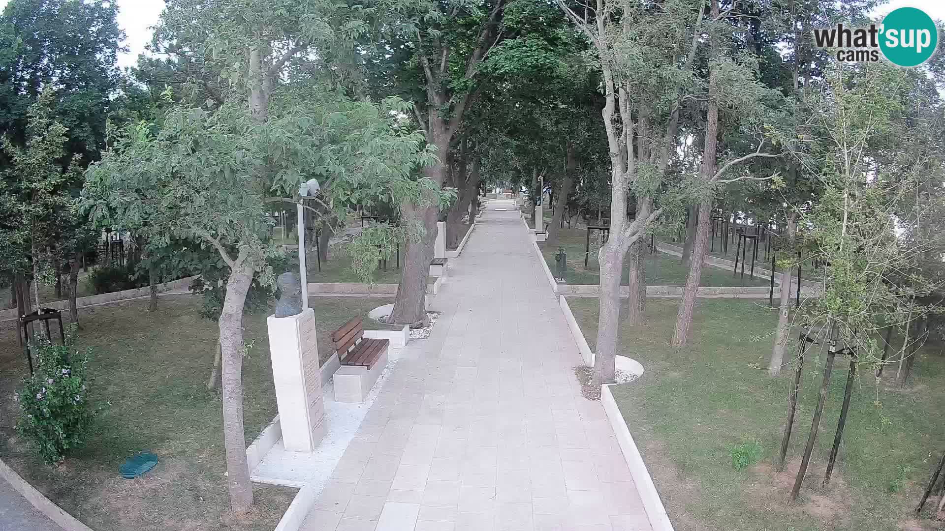 Webcam Schriftstellerpark Senj – Live am Meer