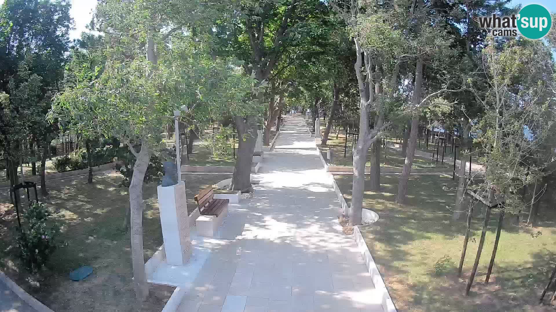 Webcam Schriftstellerpark Senj – Live am Meer