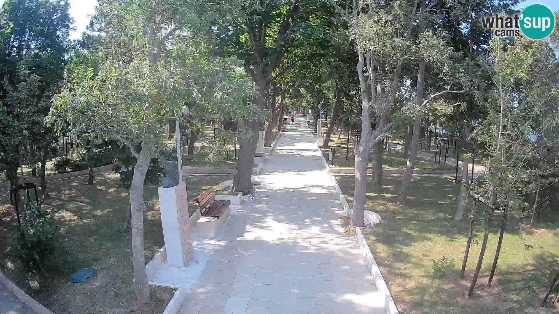 Webcam Parco degli Scrittori Segna – Diretta sul Mare
