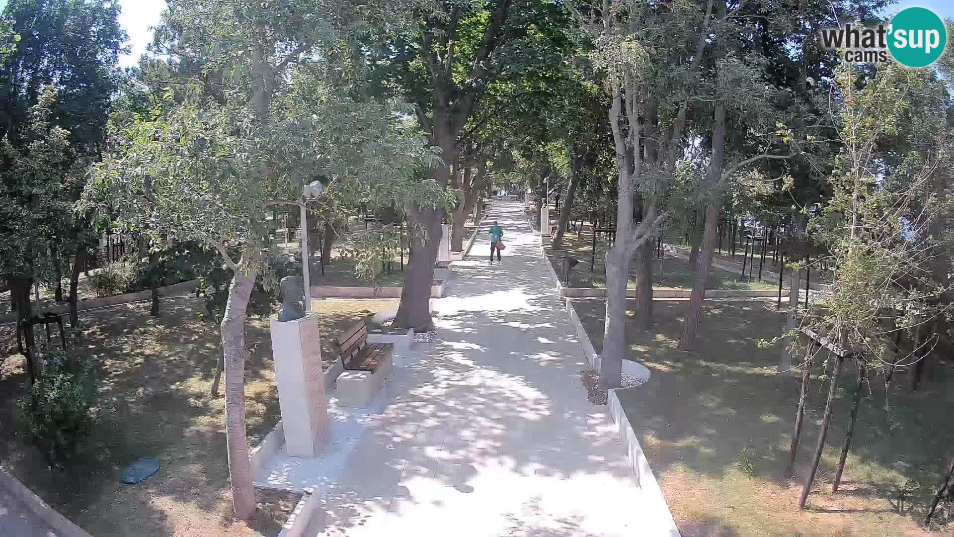 Webcam Parco degli Scrittori Segna – Diretta sul Mare