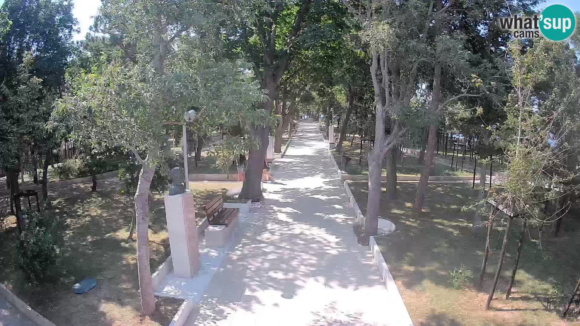 Webcam Parco degli Scrittori Segna – Diretta sul Mare