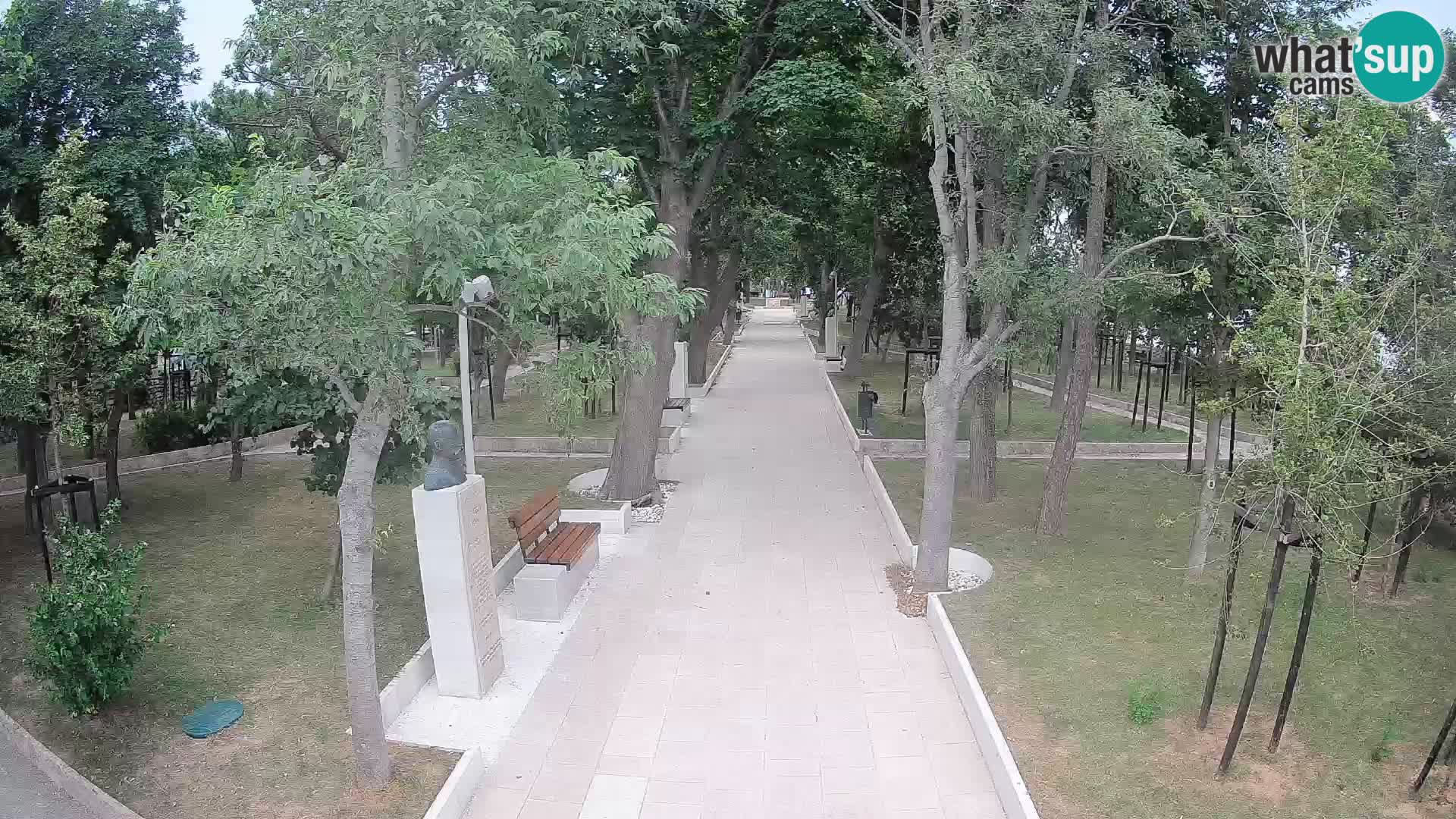 Webcam Parco degli Scrittori Segna – Diretta sul Mare