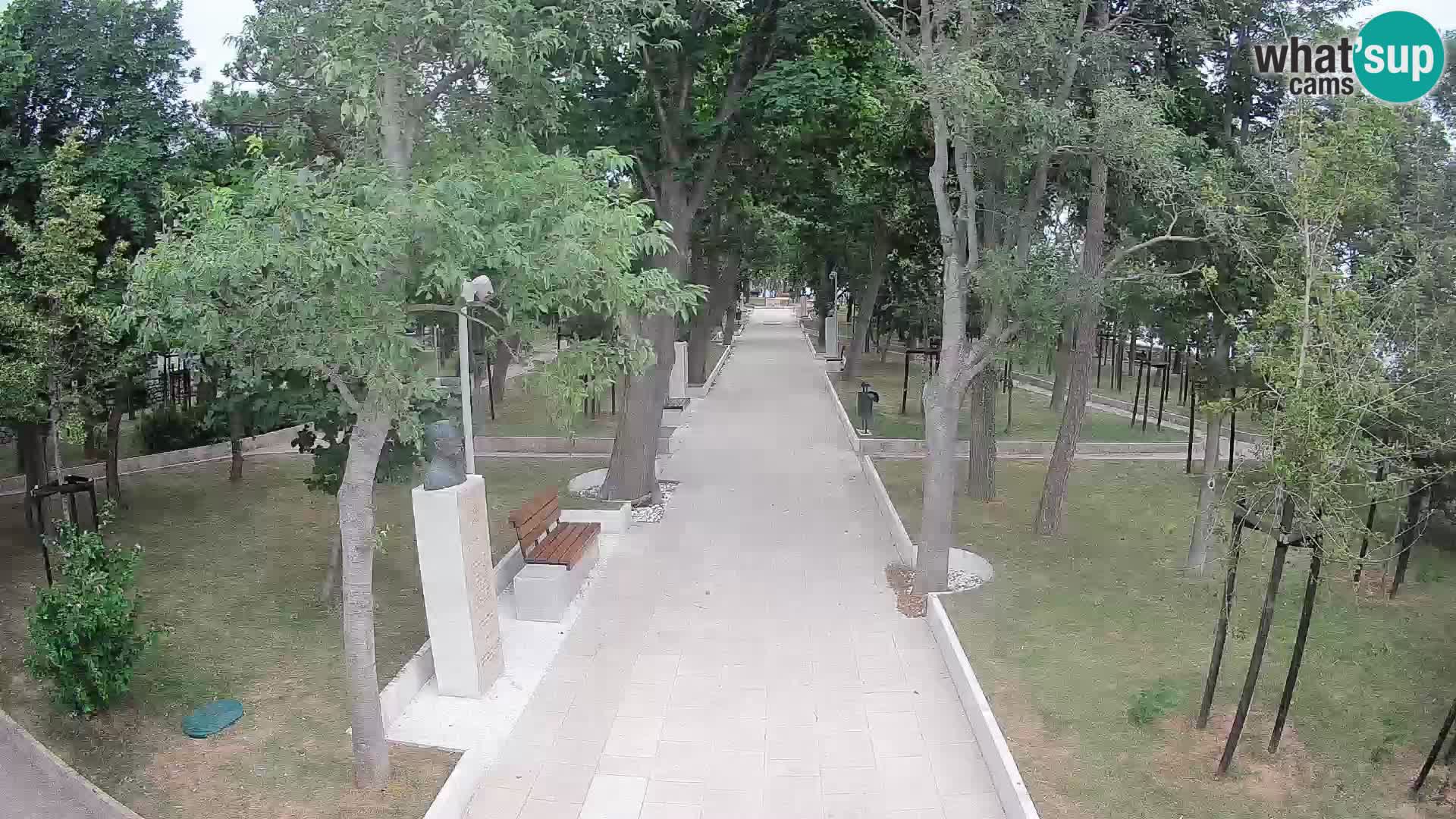 Writers’ Park Webcam Senj – Live by the Sea