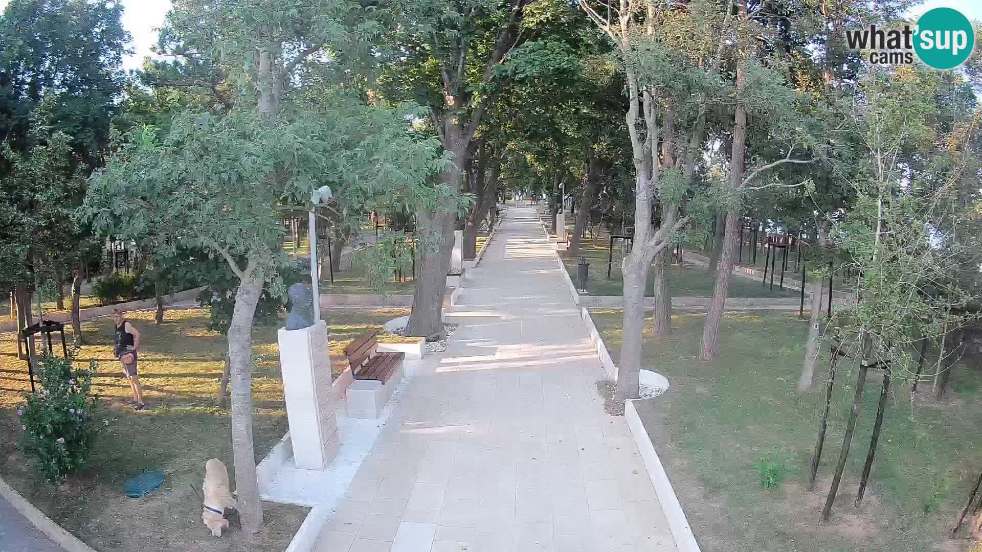 Webcam Schriftstellerpark Senj – Live am Meer