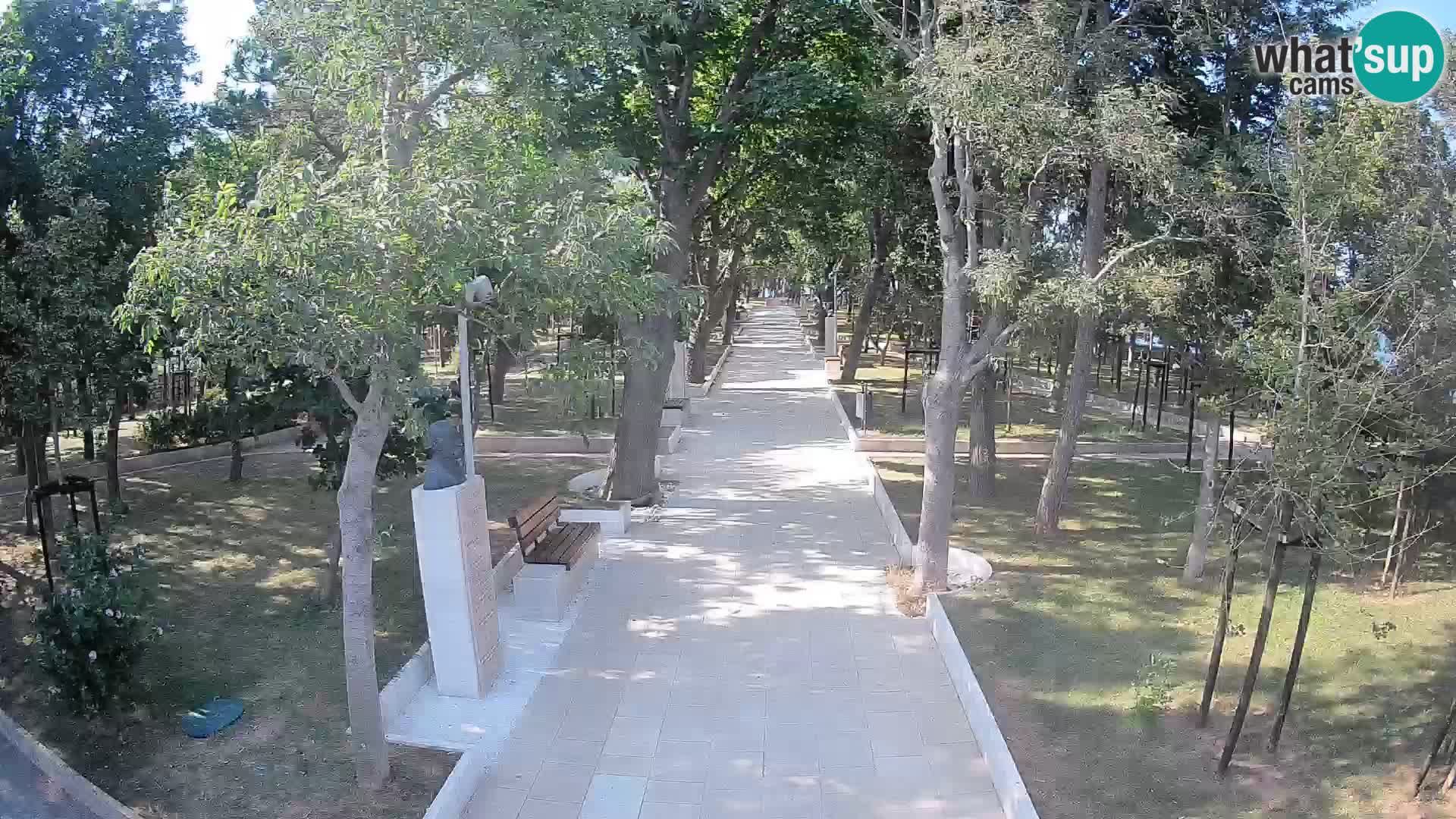 Webcam Schriftstellerpark Senj – Live am Meer