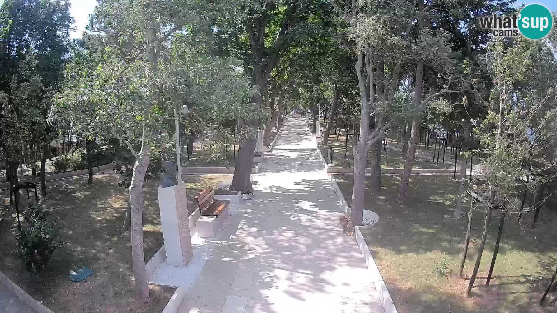 Webcam Schriftstellerpark Senj – Live am Meer