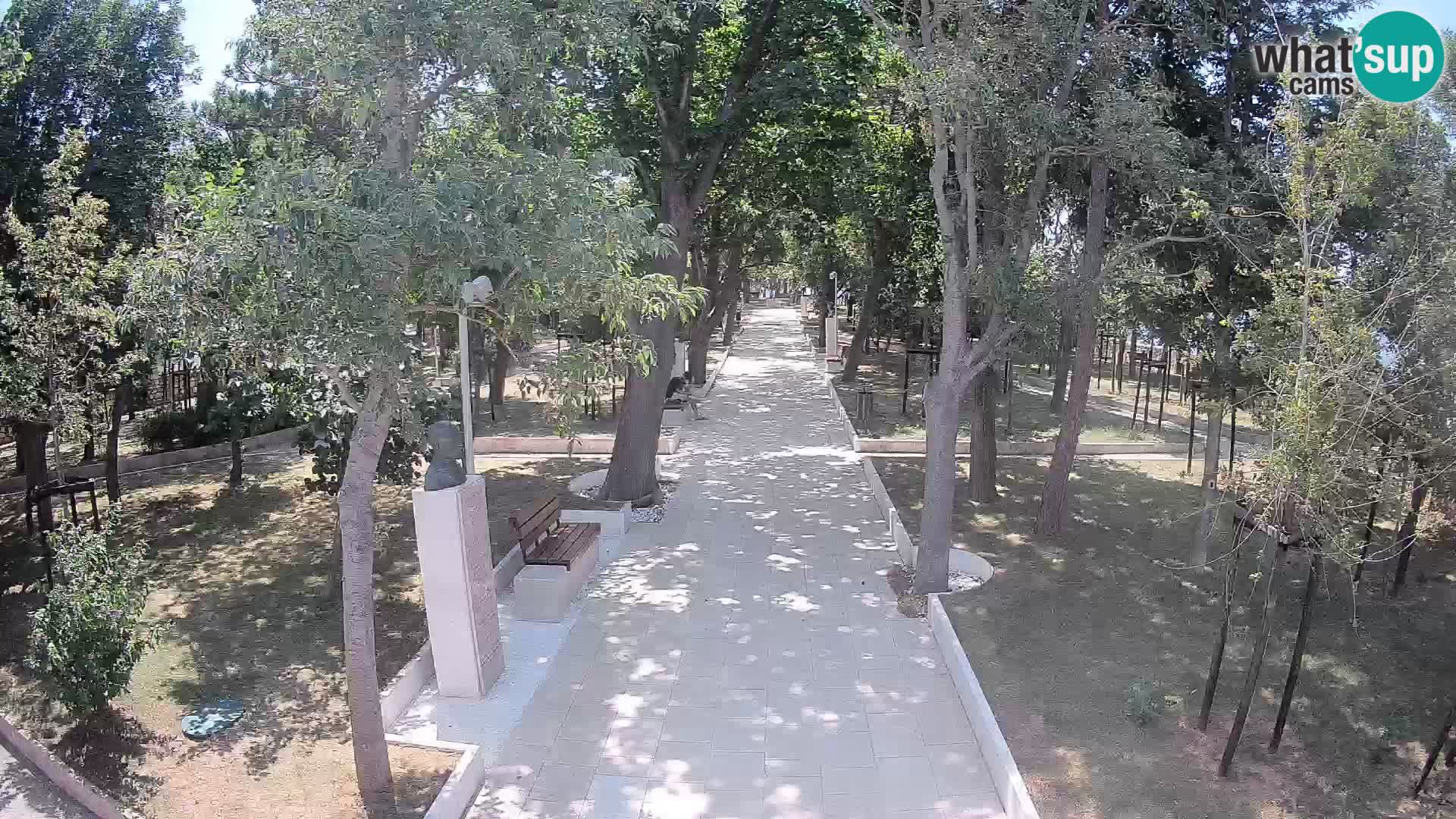 Webcam Parco degli Scrittori Segna – Diretta sul Mare