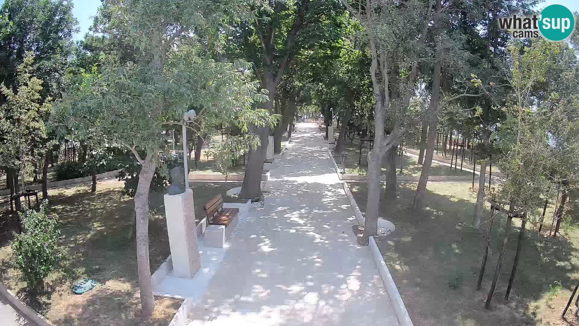 Webcam Parco degli Scrittori Segna – Diretta sul Mare