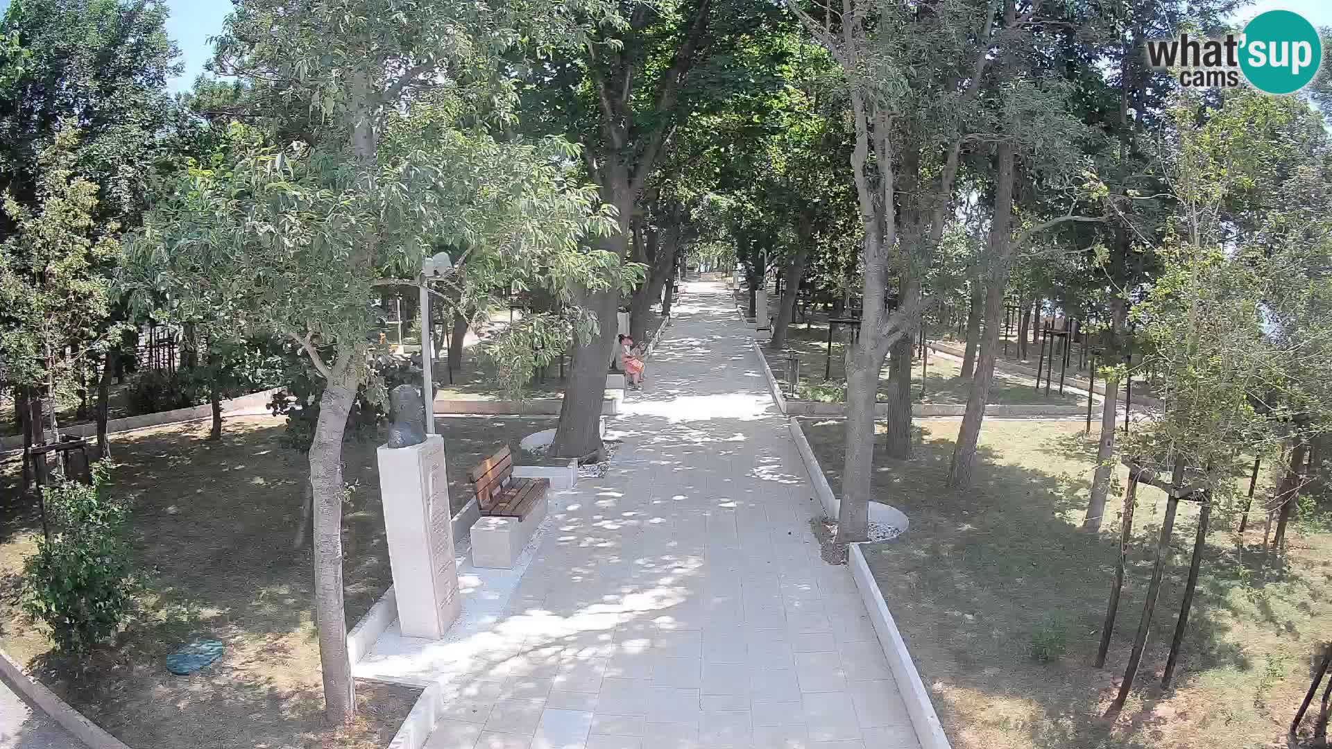 Webcam Parco degli Scrittori Segna – Diretta sul Mare