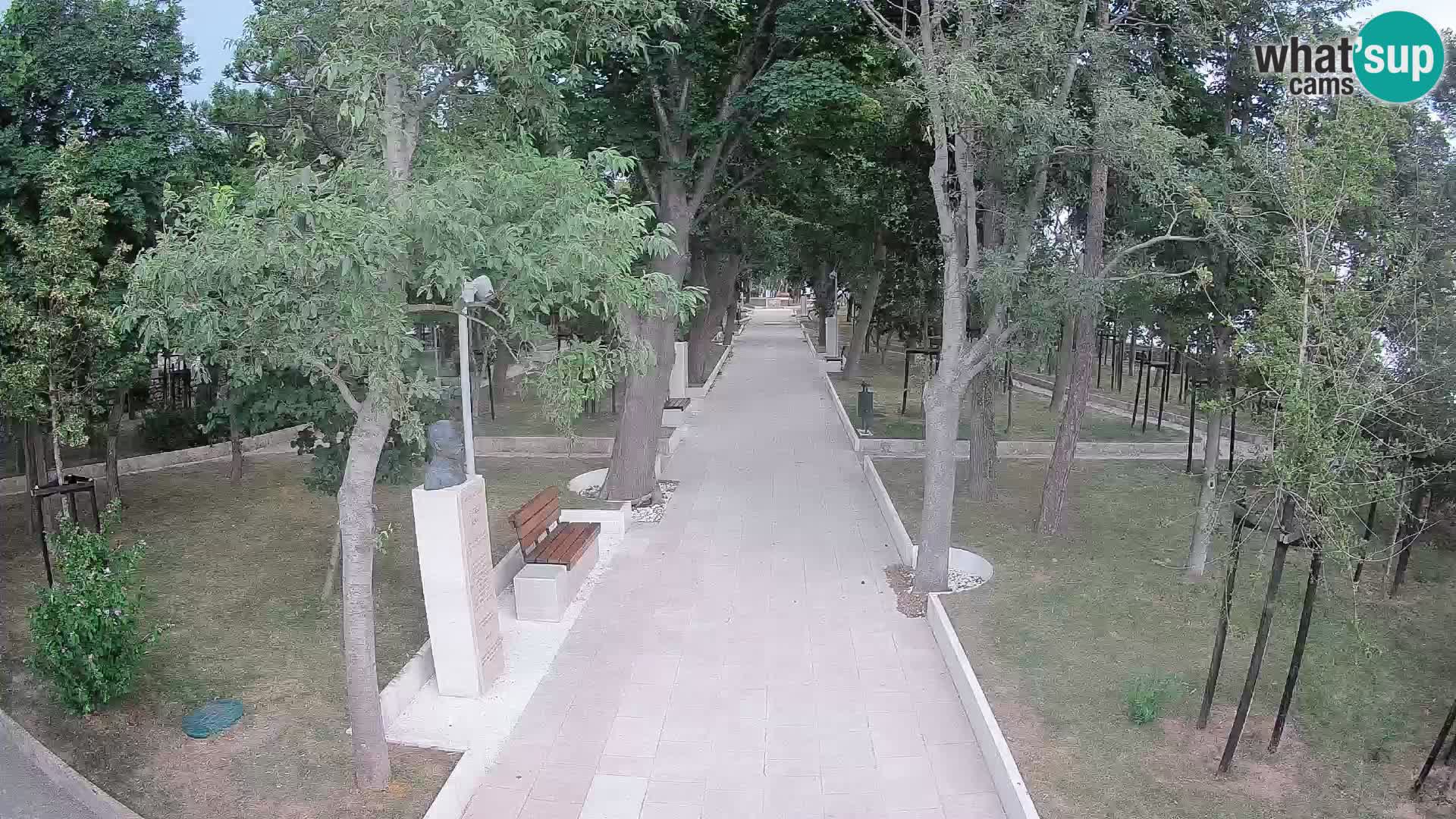 Webcam Parco degli Scrittori Segna – Diretta sul Mare