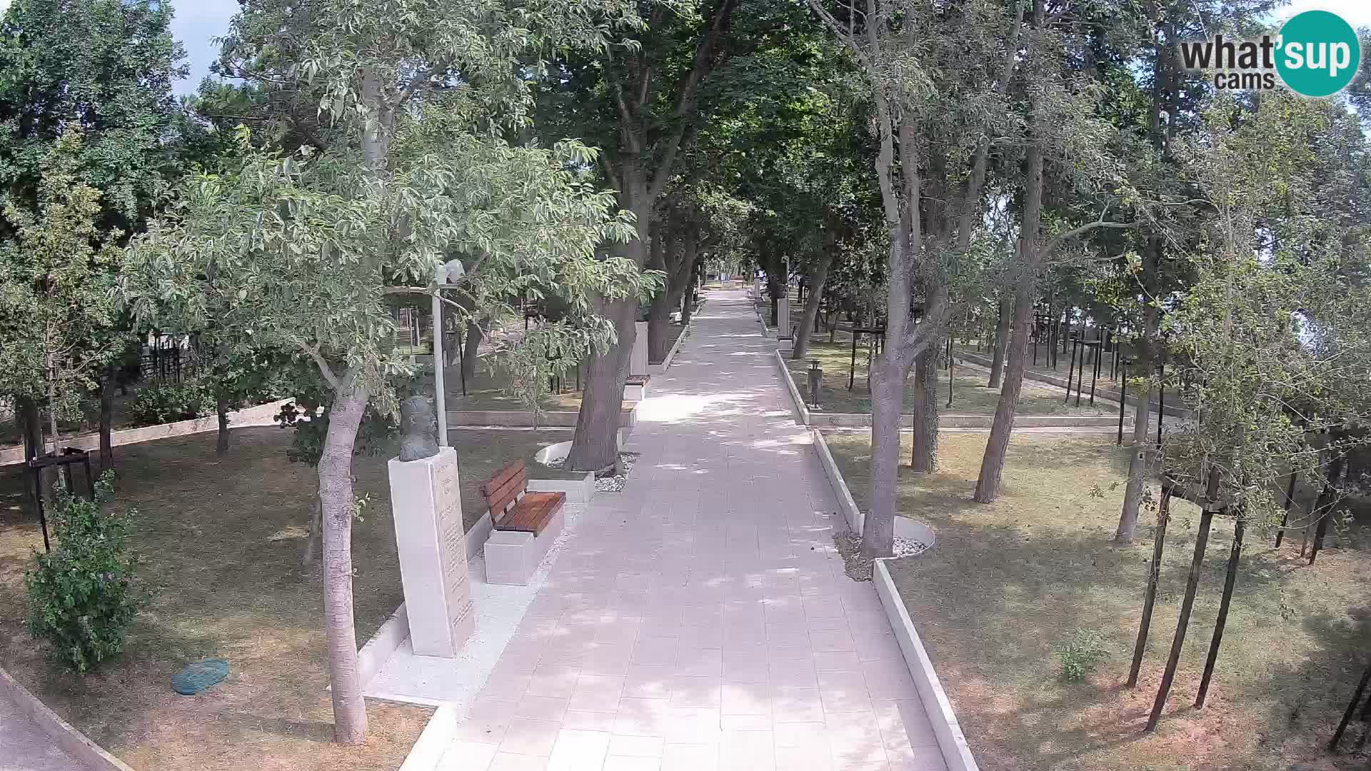 Webcam Parco degli Scrittori Segna – Diretta sul Mare