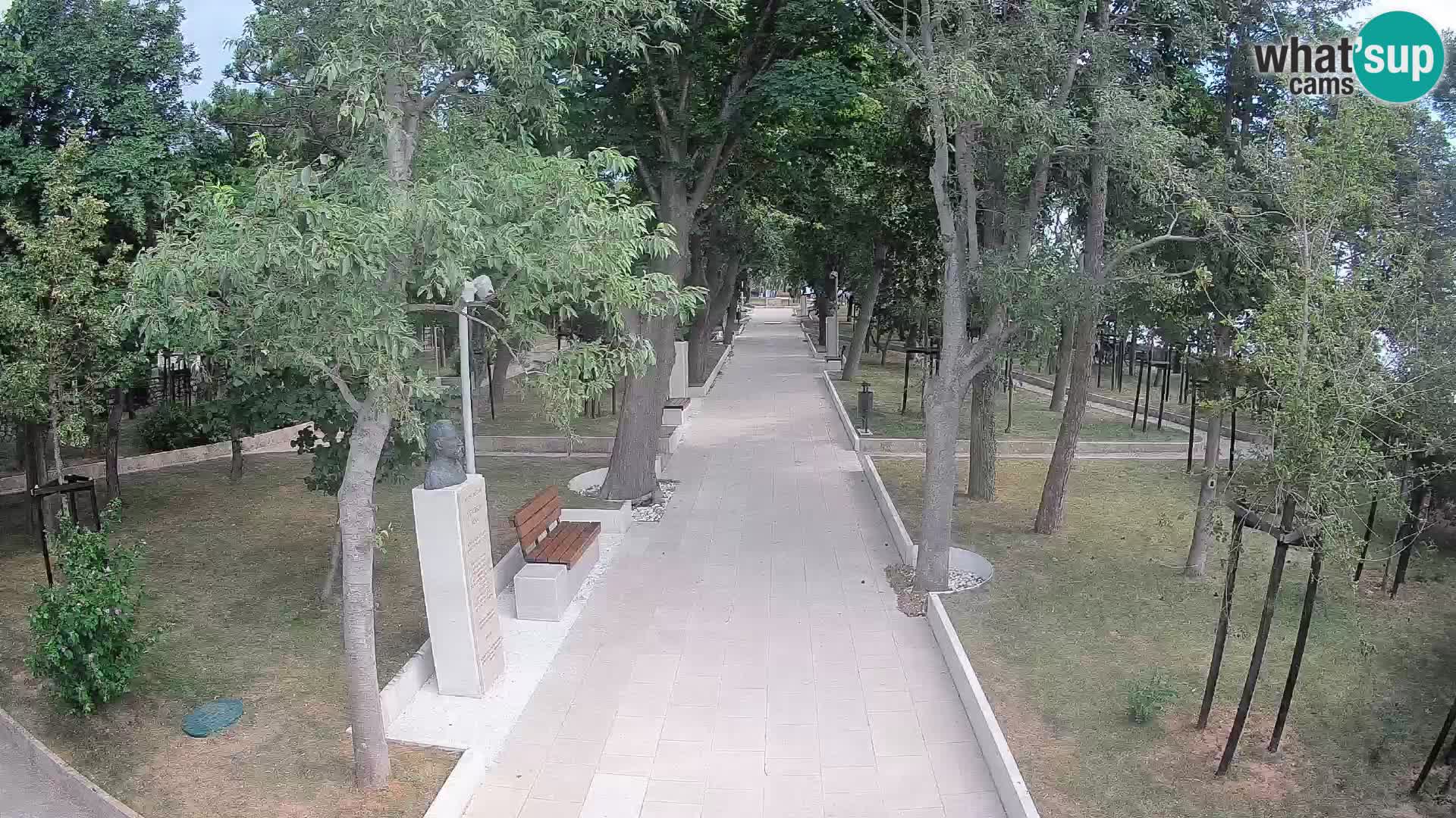 Webcam Parco degli Scrittori Segna – Diretta sul Mare