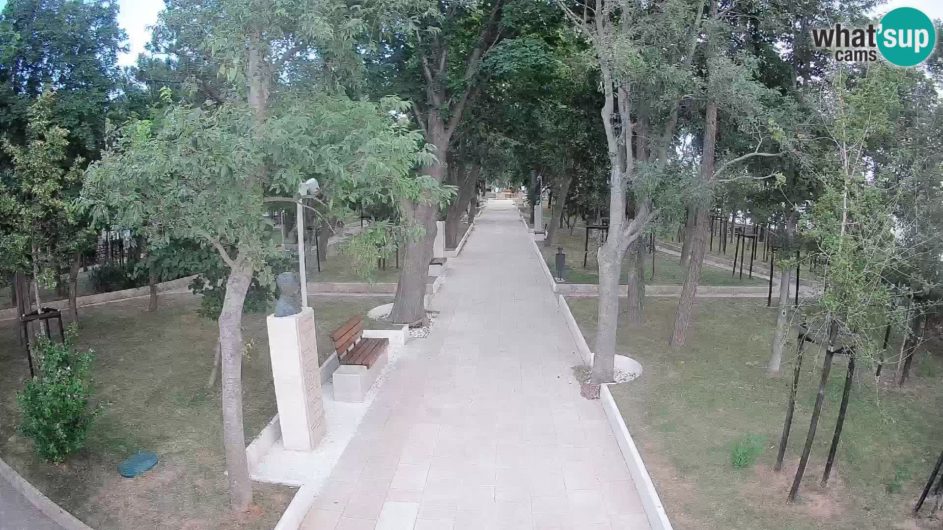 Webcam Parco degli Scrittori Segna – Diretta sul Mare