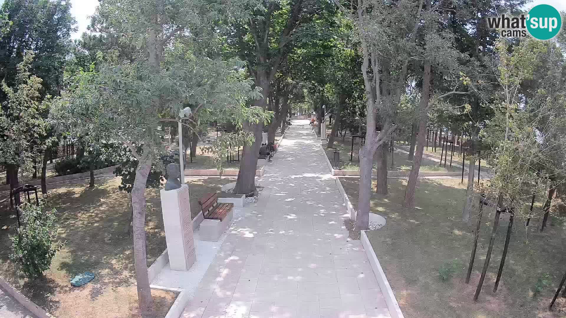 Webcam Parco degli Scrittori Segna – Diretta sul Mare