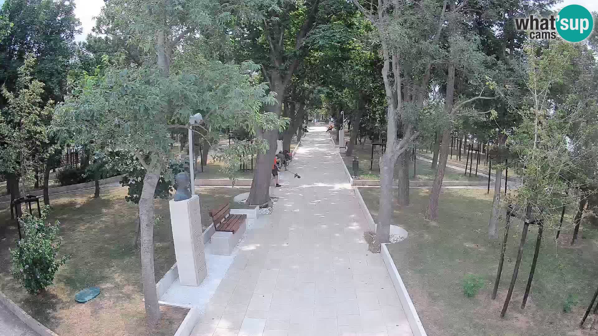 Webcam Schriftstellerpark Senj – Live am Meer
