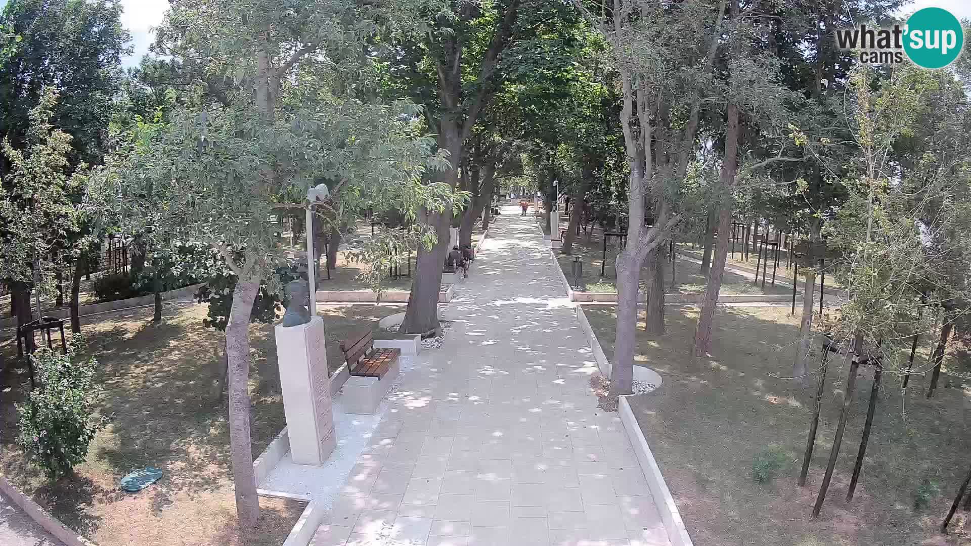 Webcam Parco degli Scrittori Segna – Diretta sul Mare