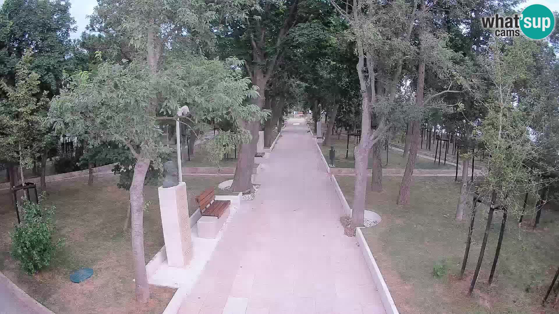 Webcam Parco degli Scrittori Segna – Diretta sul Mare
