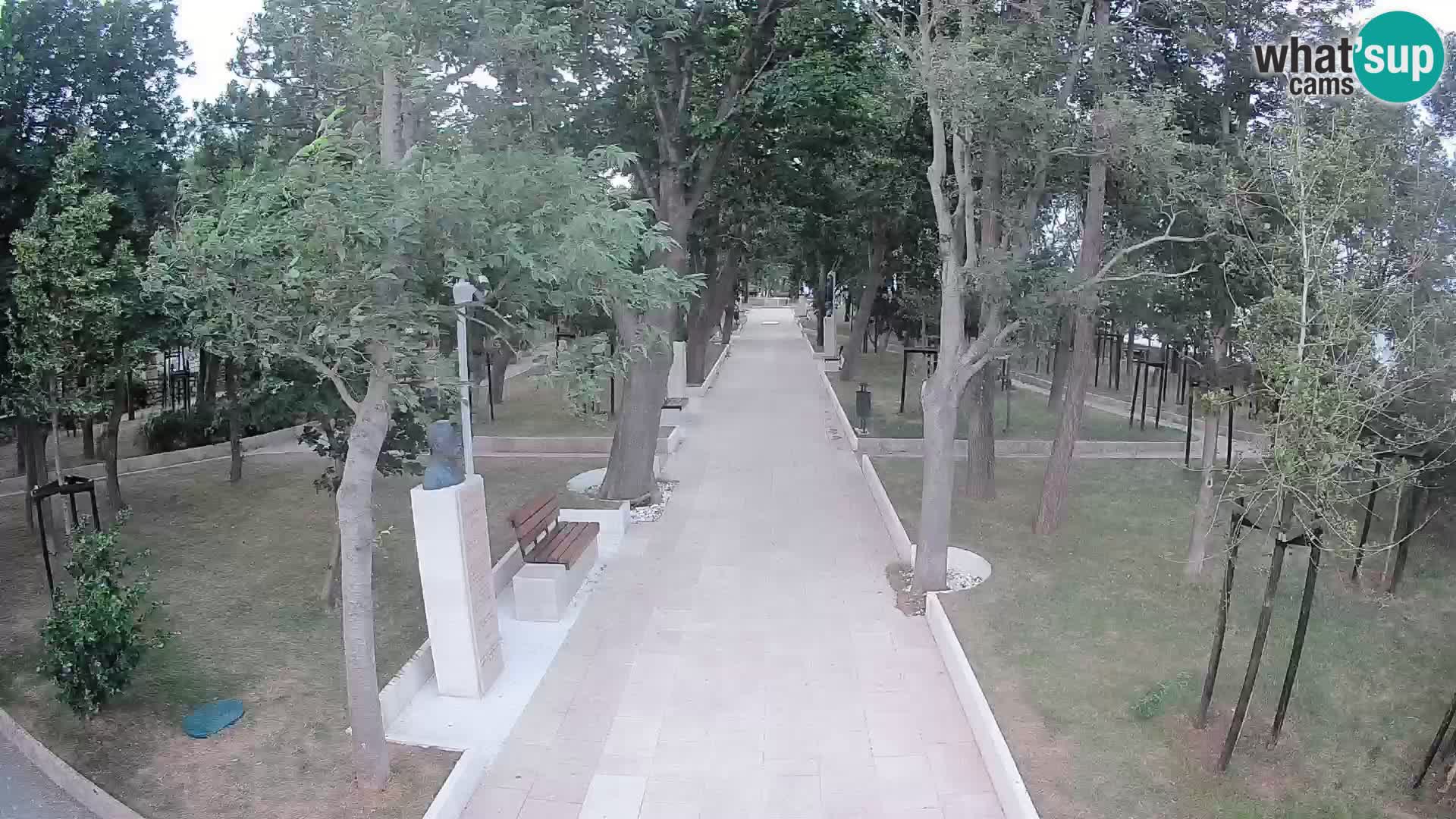 Webcam Schriftstellerpark Senj – Live am Meer