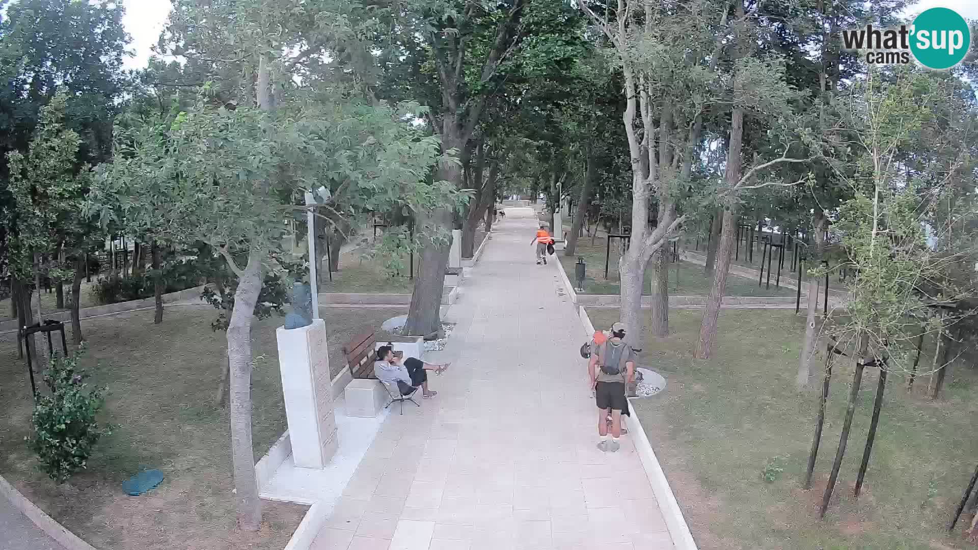 Webcam Schriftstellerpark Senj – Live am Meer