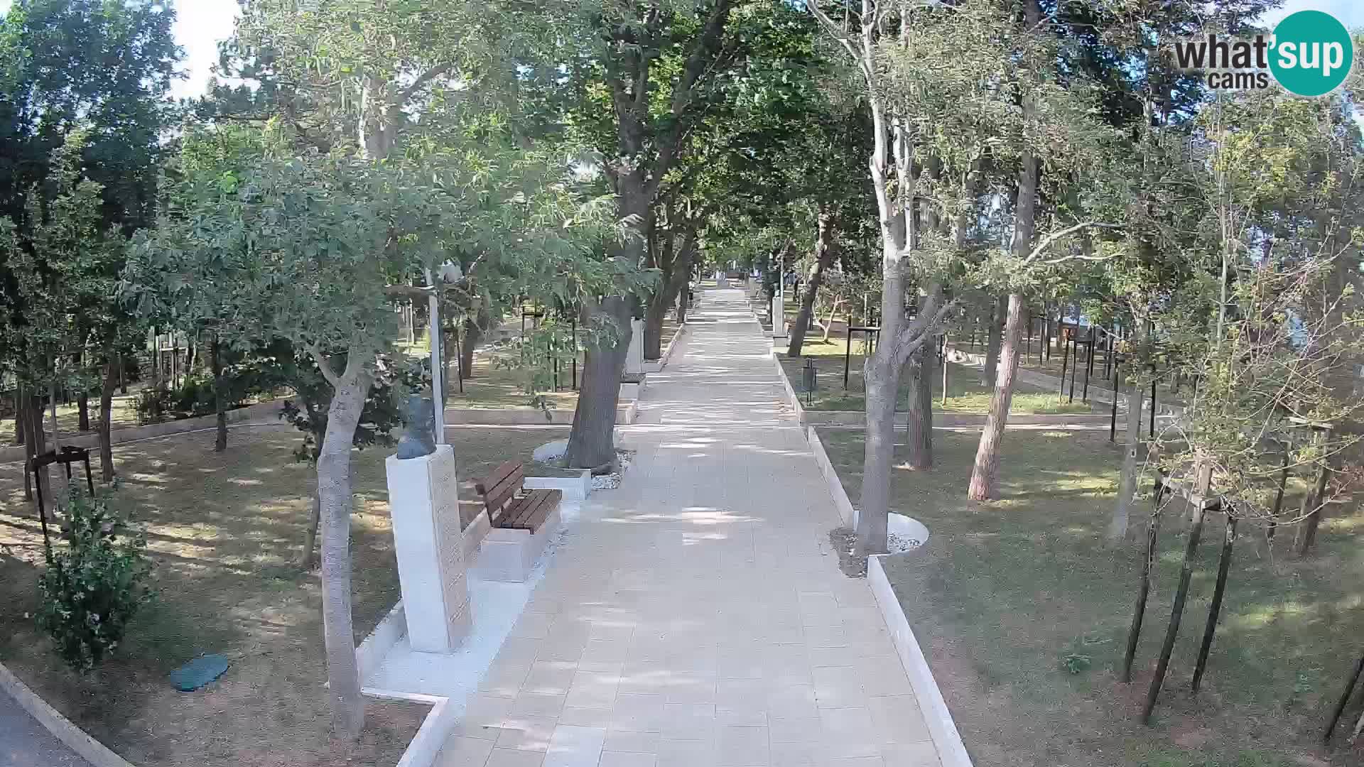 Writers’ Park Webcam Senj – Live by the Sea
