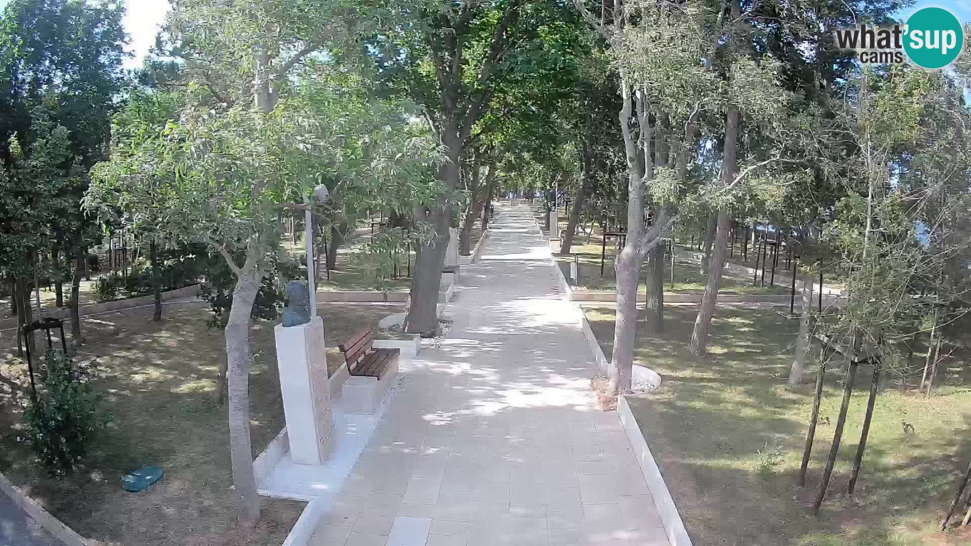Webcam Parco degli Scrittori Segna – Diretta sul Mare