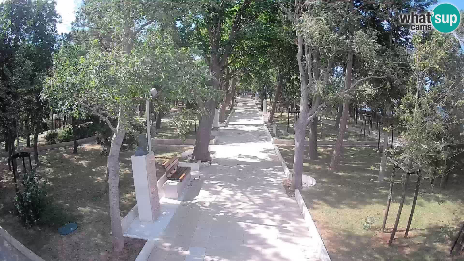 Webcam Schriftstellerpark Senj – Live am Meer