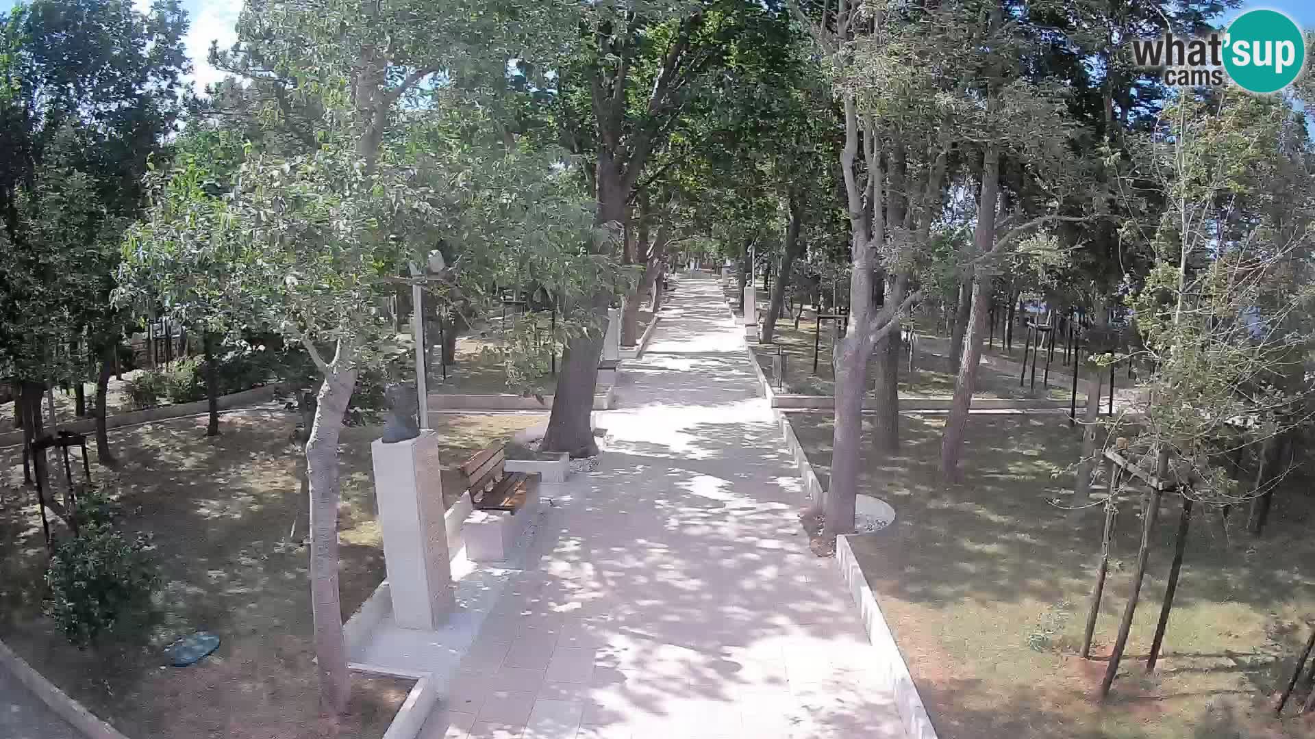 Webcam Schriftstellerpark Senj – Live am Meer