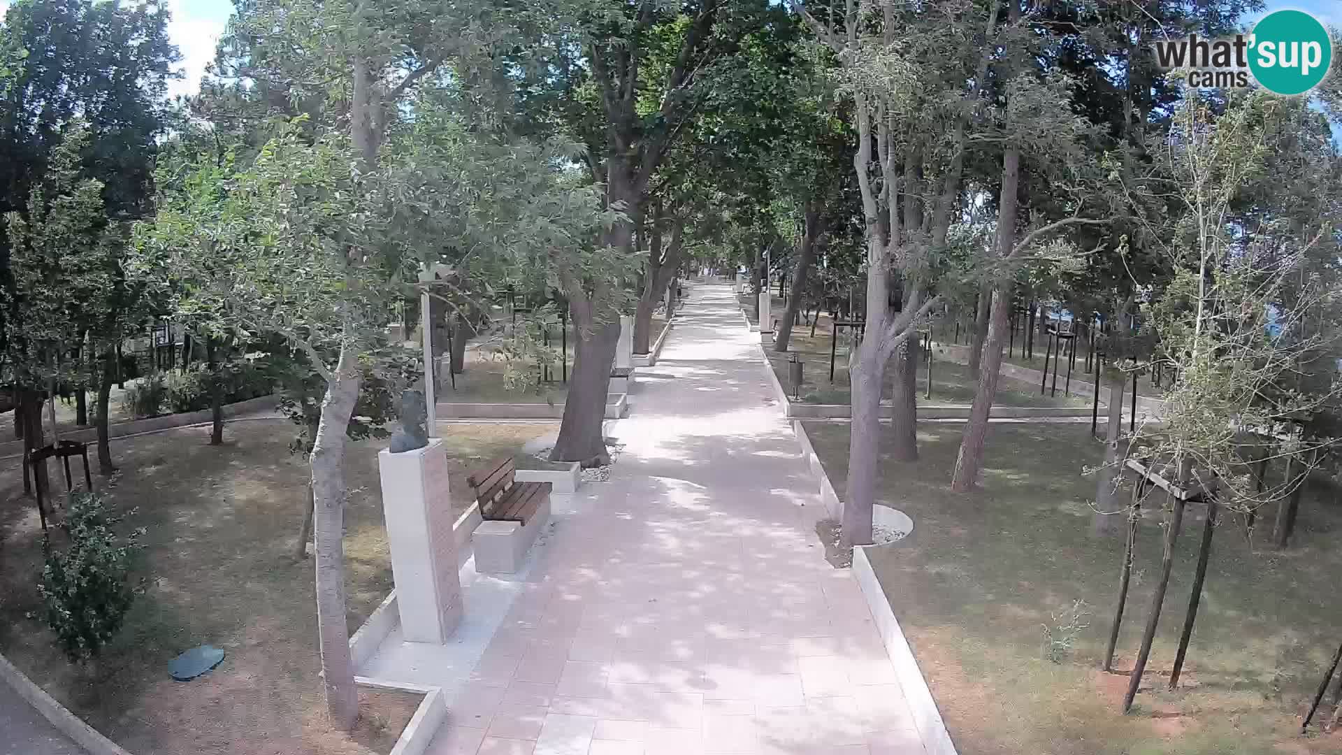 Webcam Parco degli Scrittori Segna – Diretta sul Mare