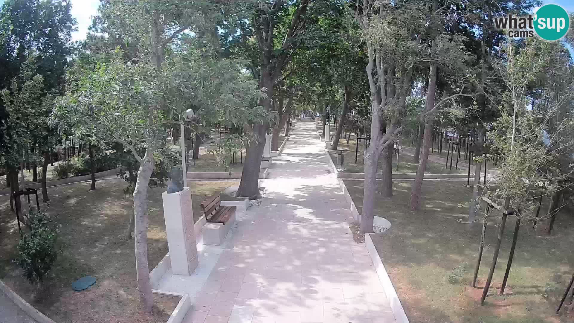 Webcam Schriftstellerpark Senj – Live am Meer