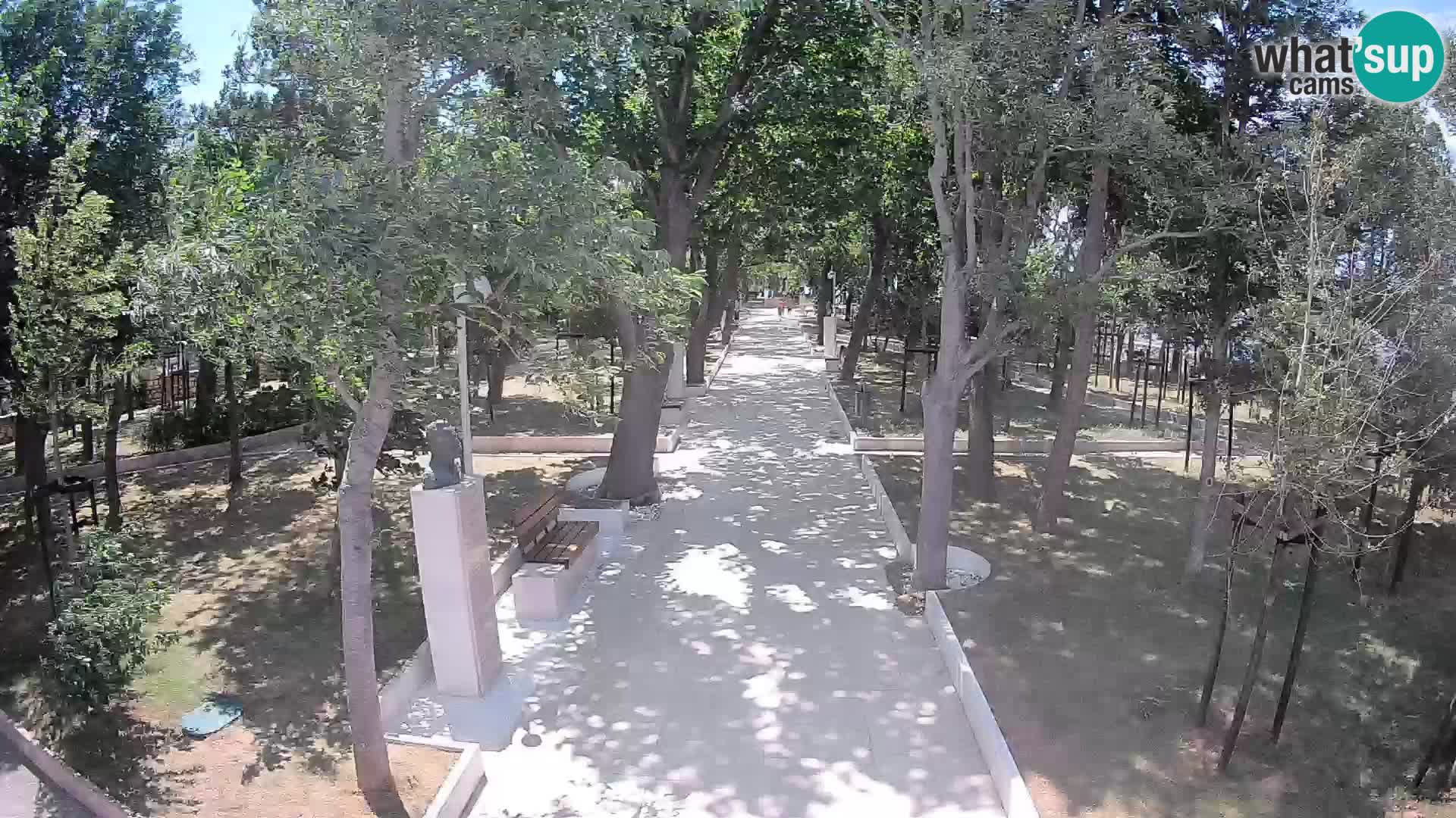 Webcam Schriftstellerpark Senj – Live am Meer