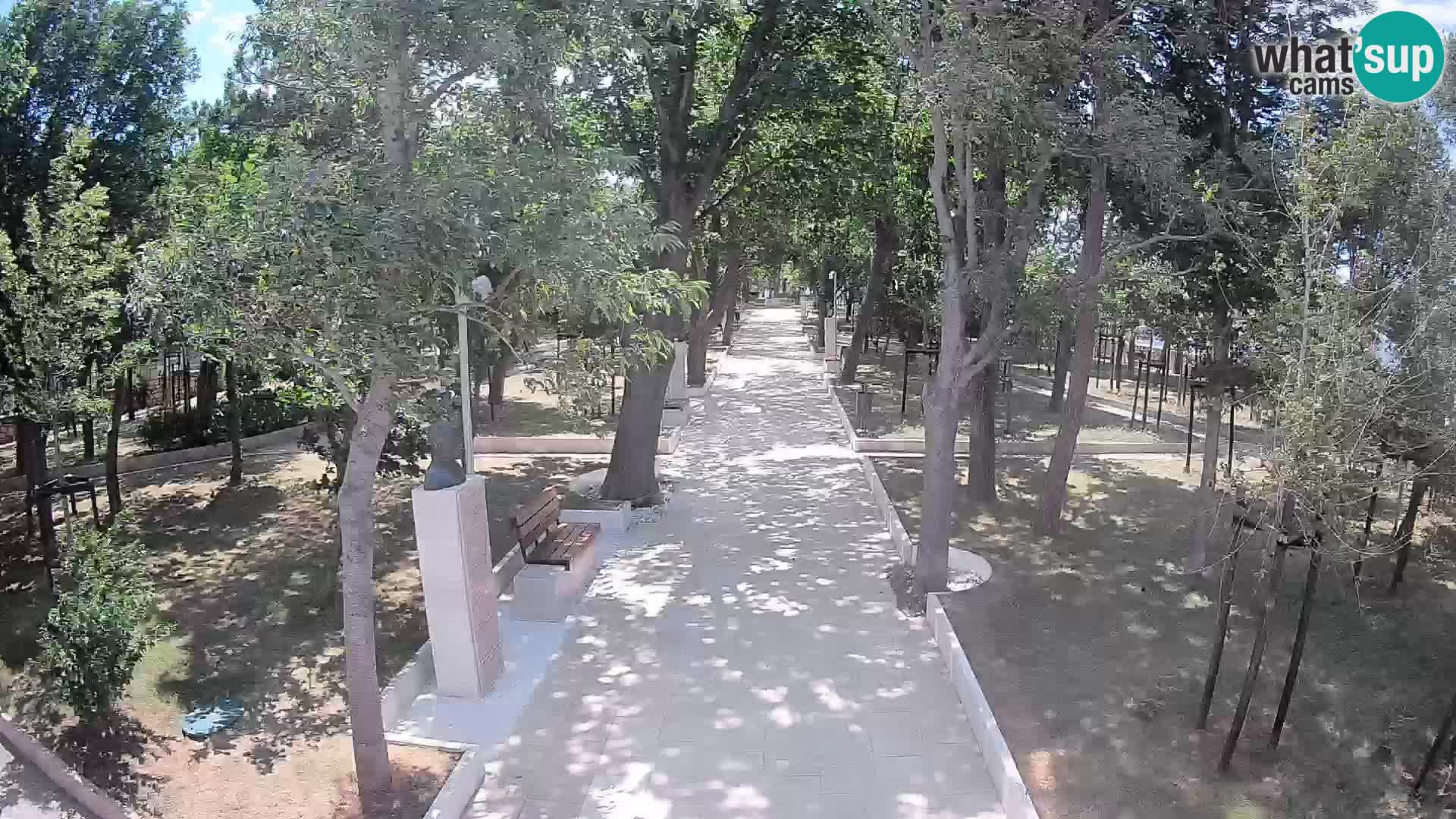 Webcam Parco degli Scrittori Segna – Diretta sul Mare