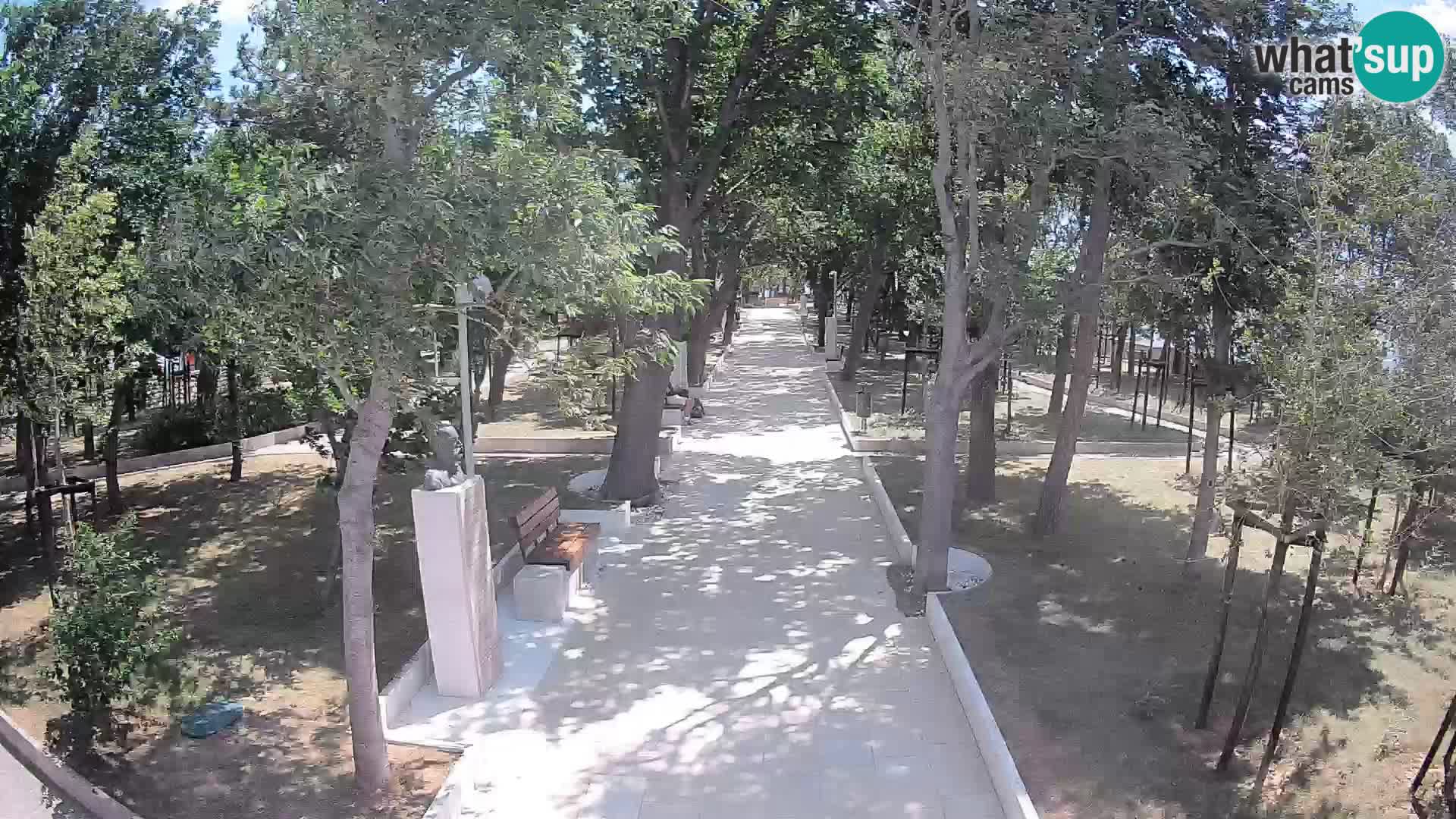 Webcam Parco degli Scrittori Segna – Diretta sul Mare