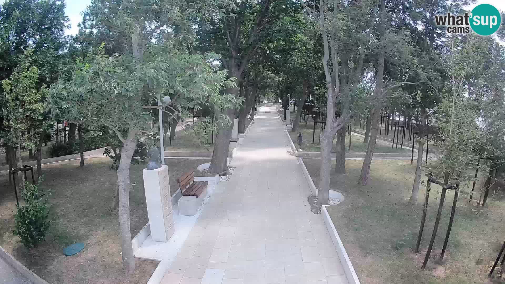 Webcam Schriftstellerpark Senj – Live am Meer