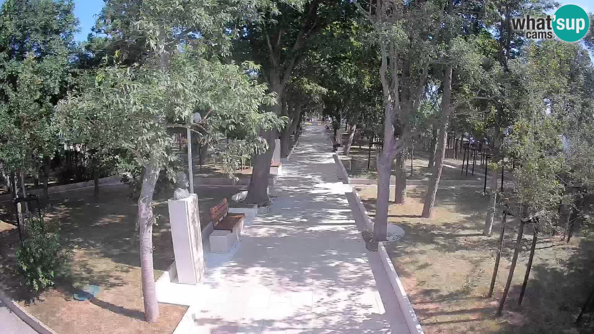 Webcam Parco degli Scrittori Segna – Diretta sul Mare