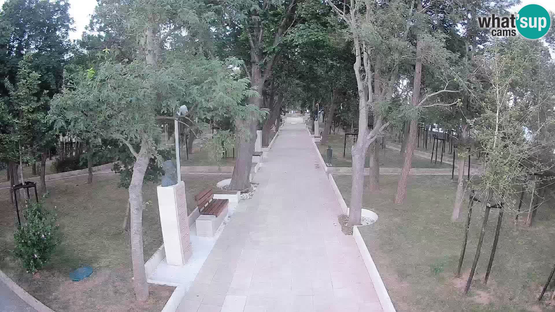 Webcam Schriftstellerpark Senj – Live am Meer
