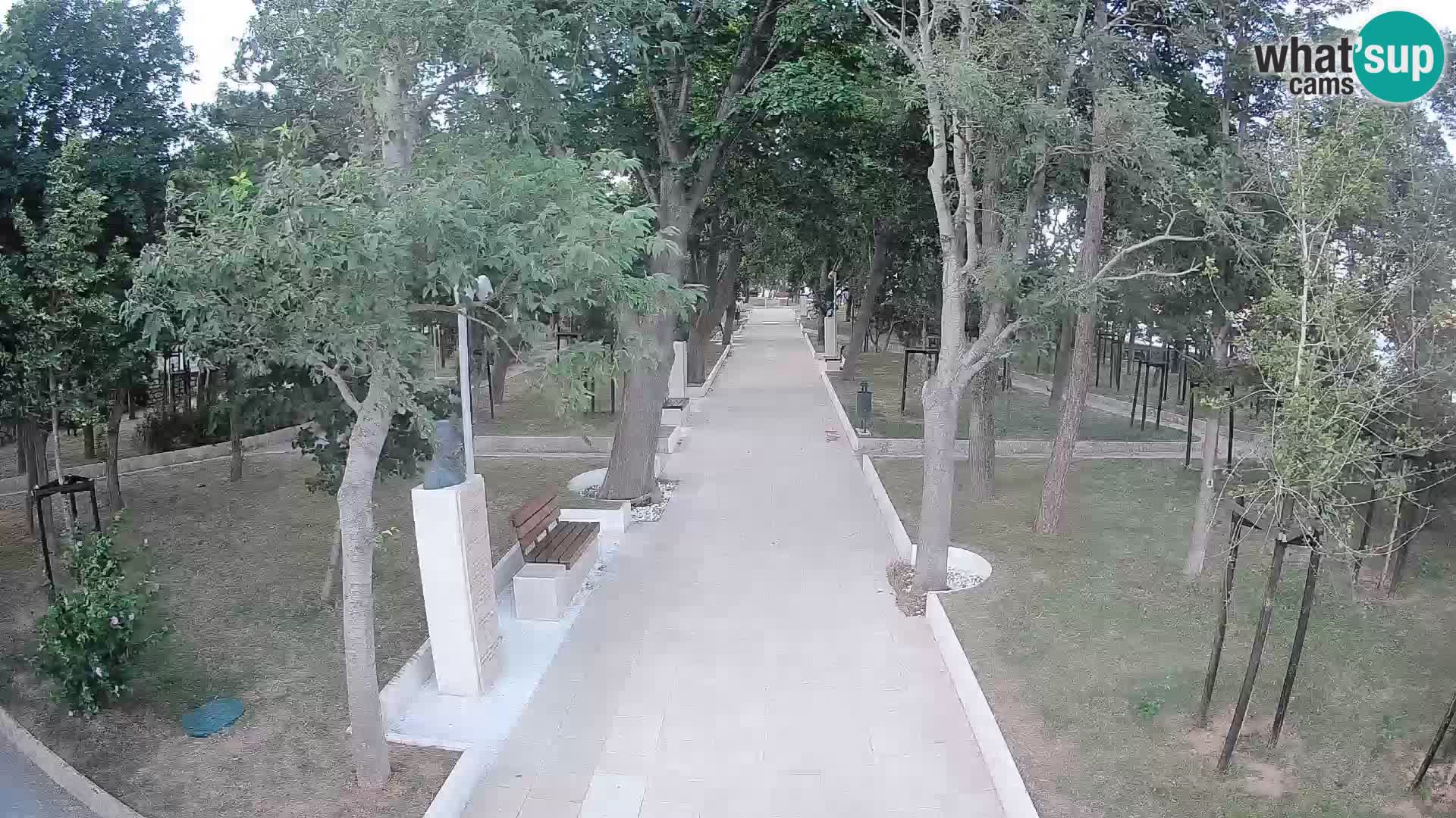 Webcam Schriftstellerpark Senj – Live am Meer