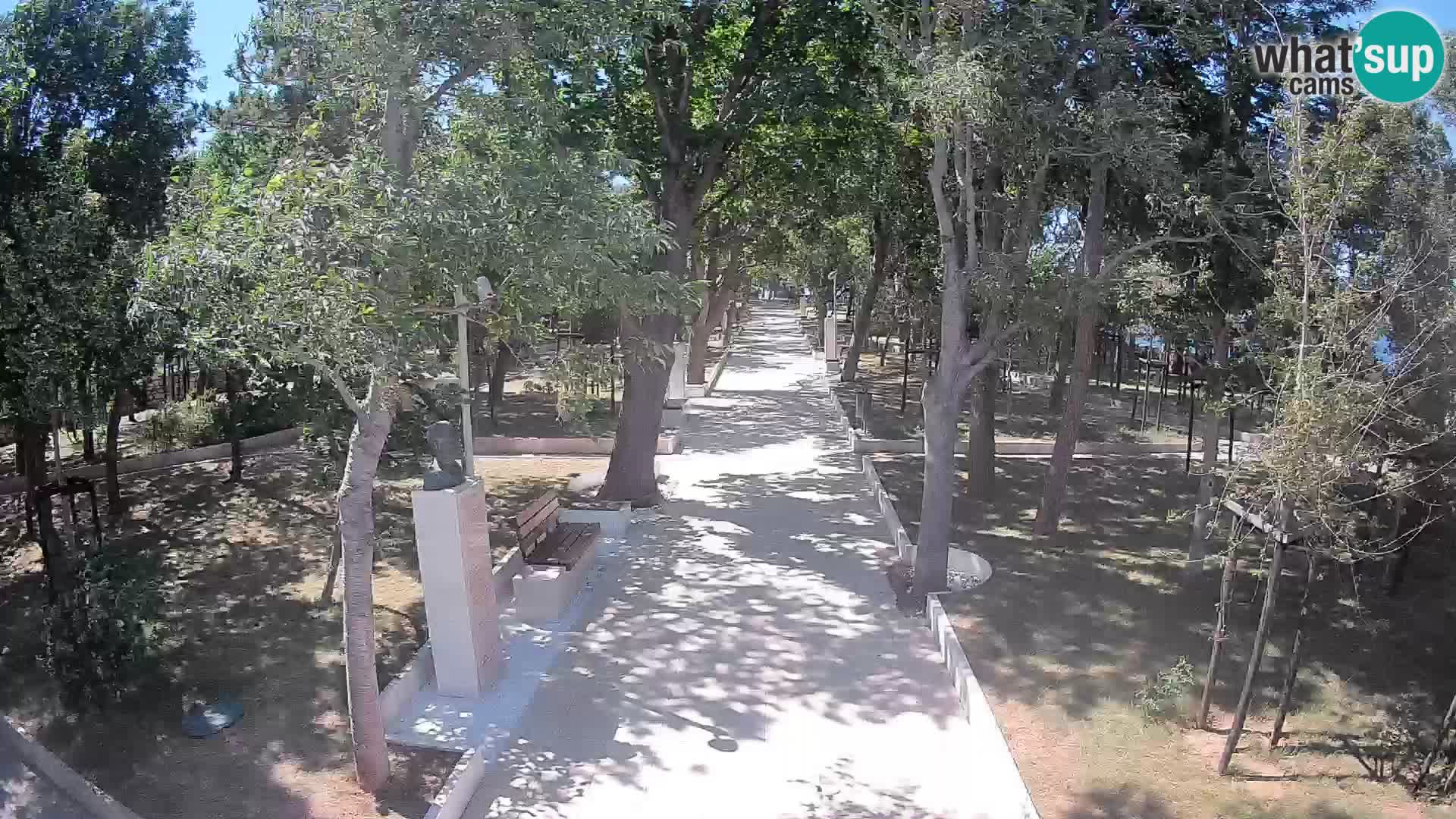Webcam Parco degli Scrittori Segna – Diretta sul Mare