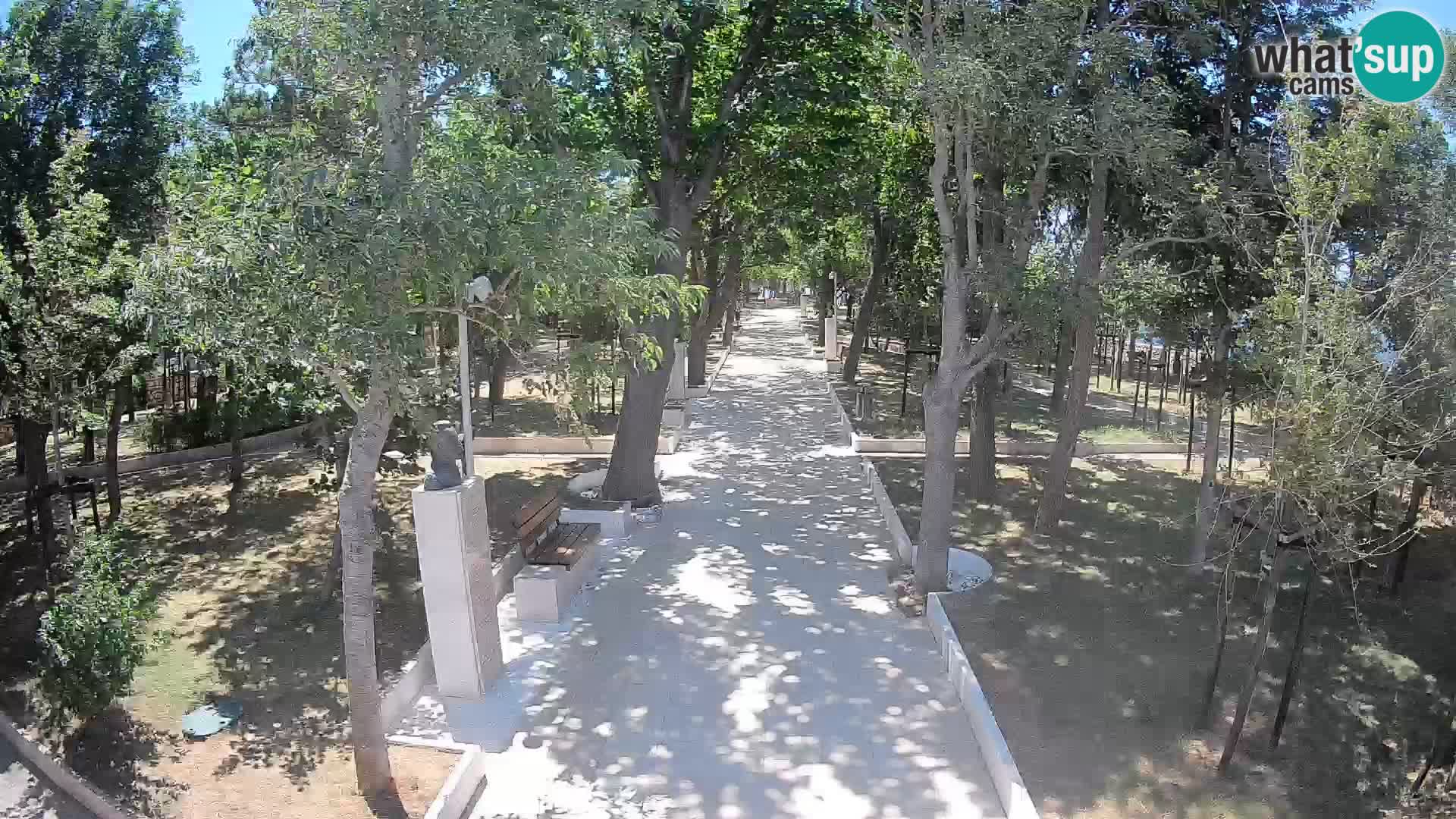 Webcam Parco degli Scrittori Segna – Diretta sul Mare