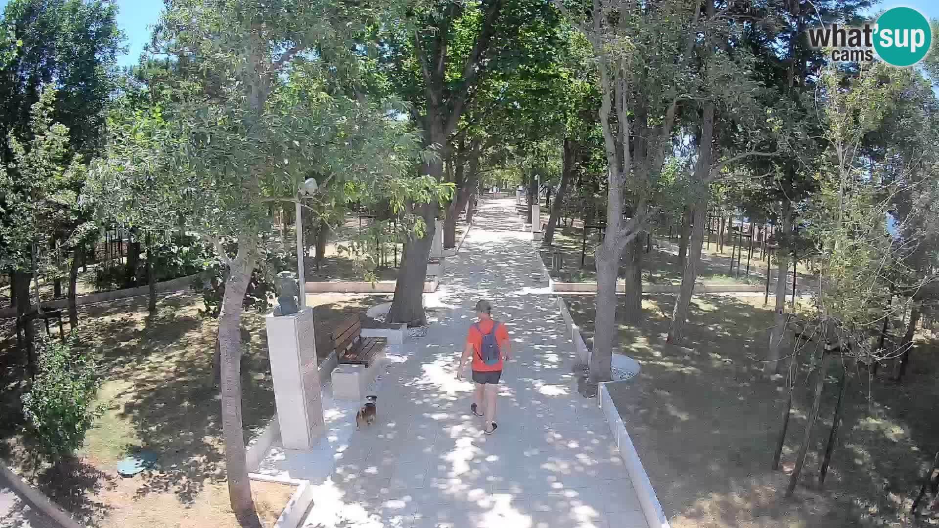 Webcam Schriftstellerpark Senj – Live am Meer