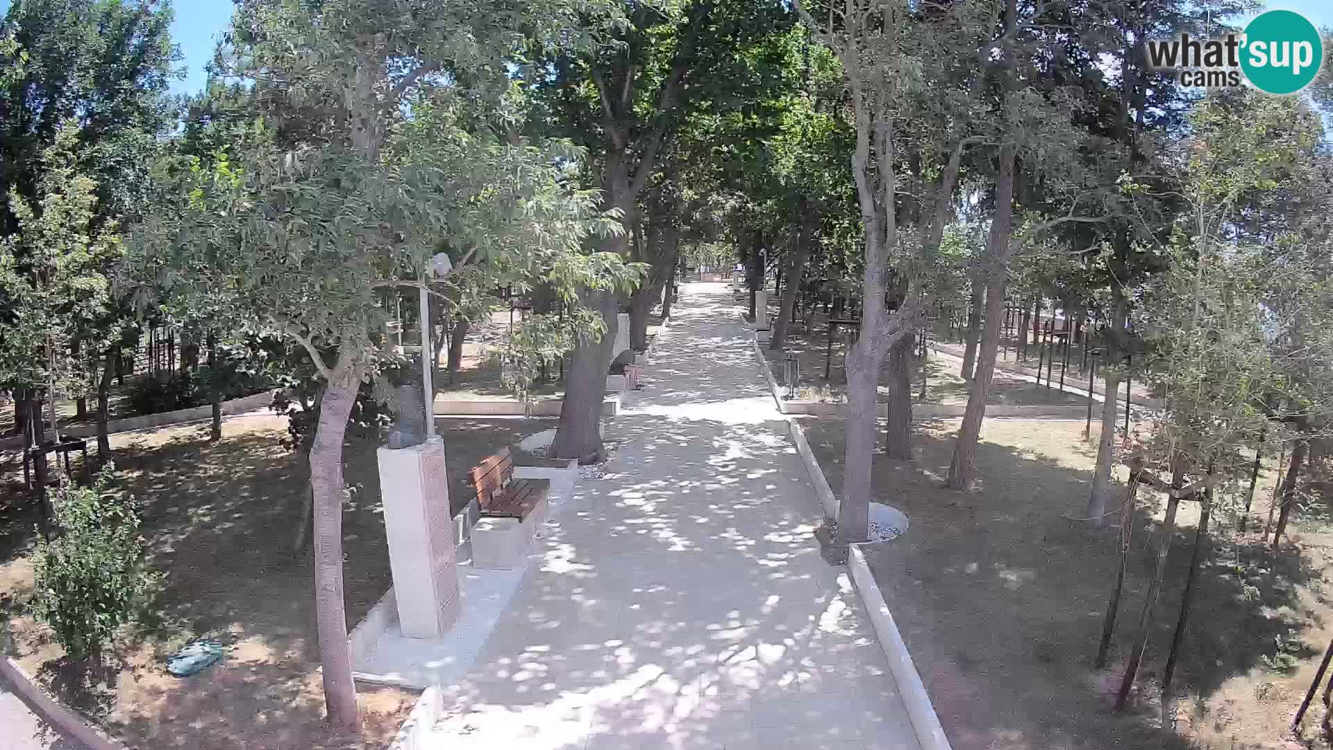 Webcam Parco degli Scrittori Segna – Diretta sul Mare