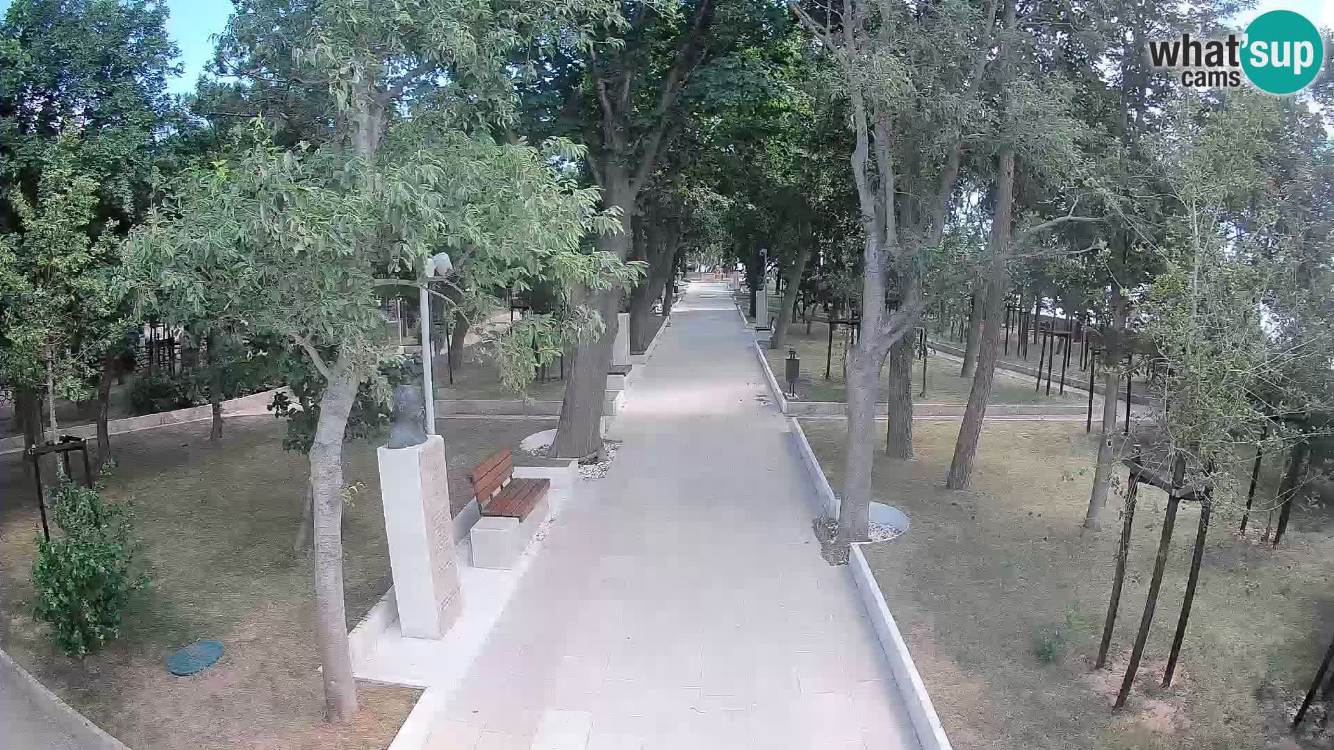 Webcam Parco degli Scrittori Segna – Diretta sul Mare