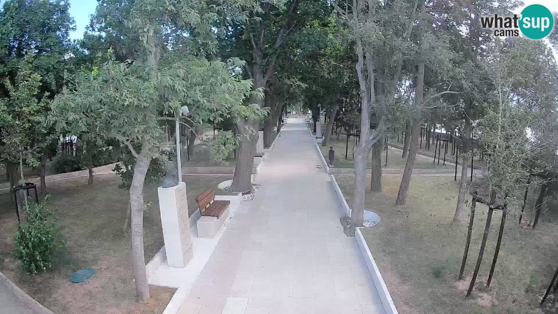 Webcam Parco degli Scrittori Segna – Diretta sul Mare