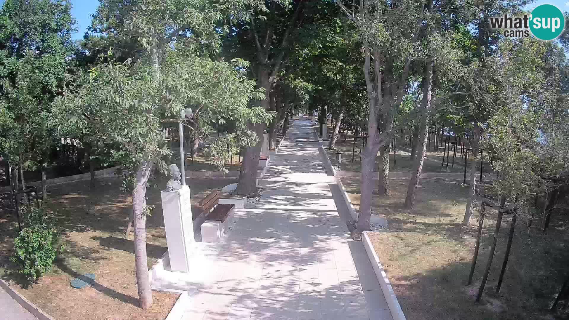 Webcam Schriftstellerpark Senj – Live am Meer