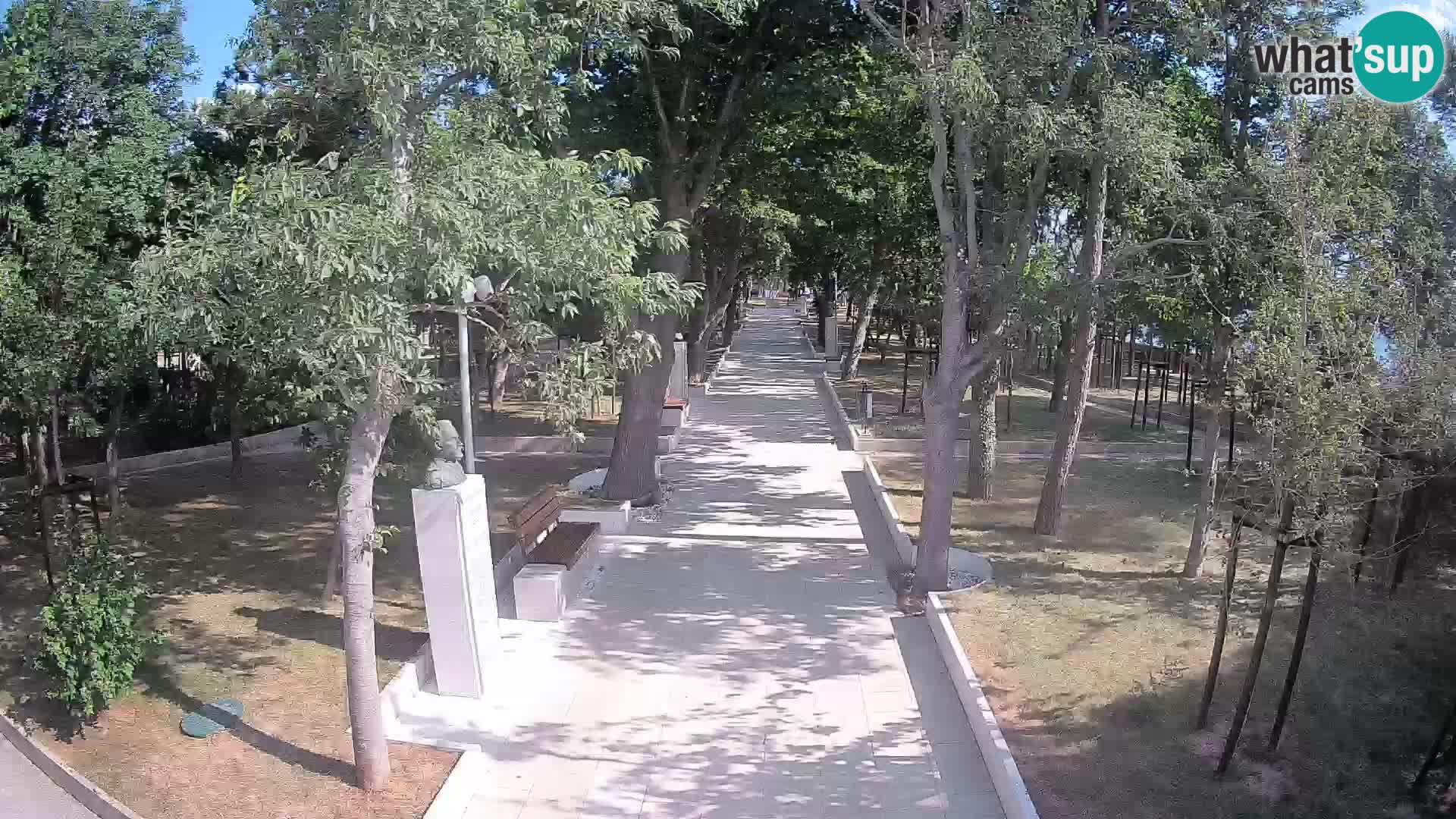 Webcam Schriftstellerpark Senj – Live am Meer
