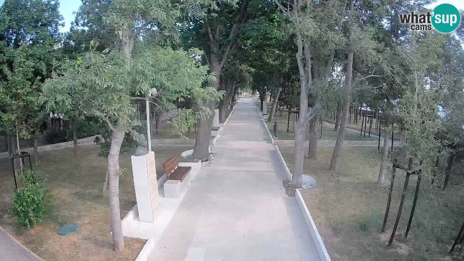 Webcam Parco degli Scrittori Segna – Diretta sul Mare