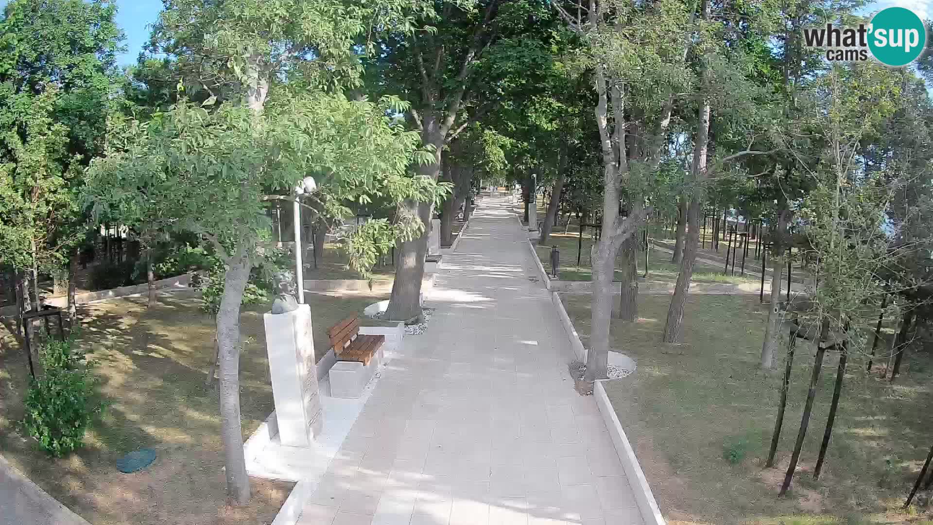 Webcam Parco degli Scrittori Segna – Diretta sul Mare