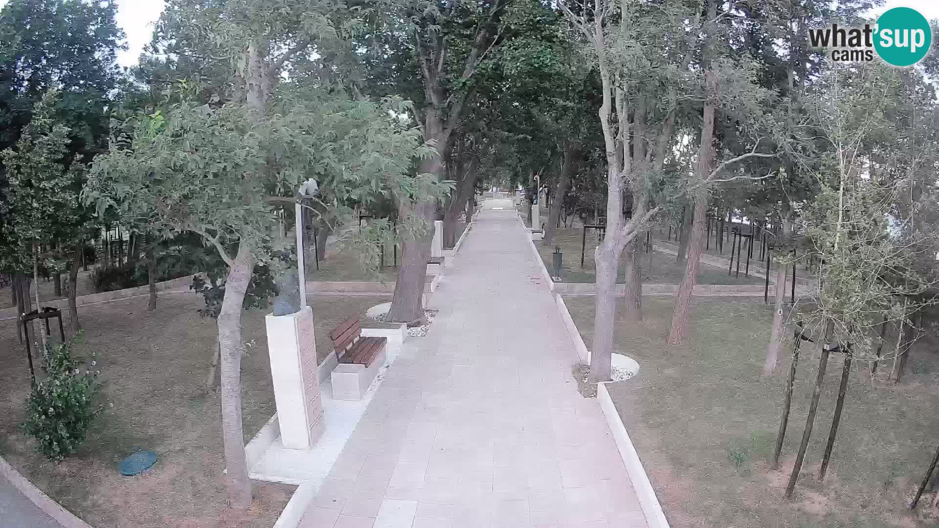 Writers’ Park Webcam Senj – Live by the Sea