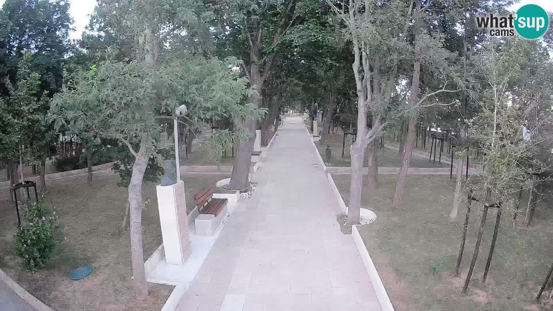 Webcam Schriftstellerpark Senj – Live am Meer