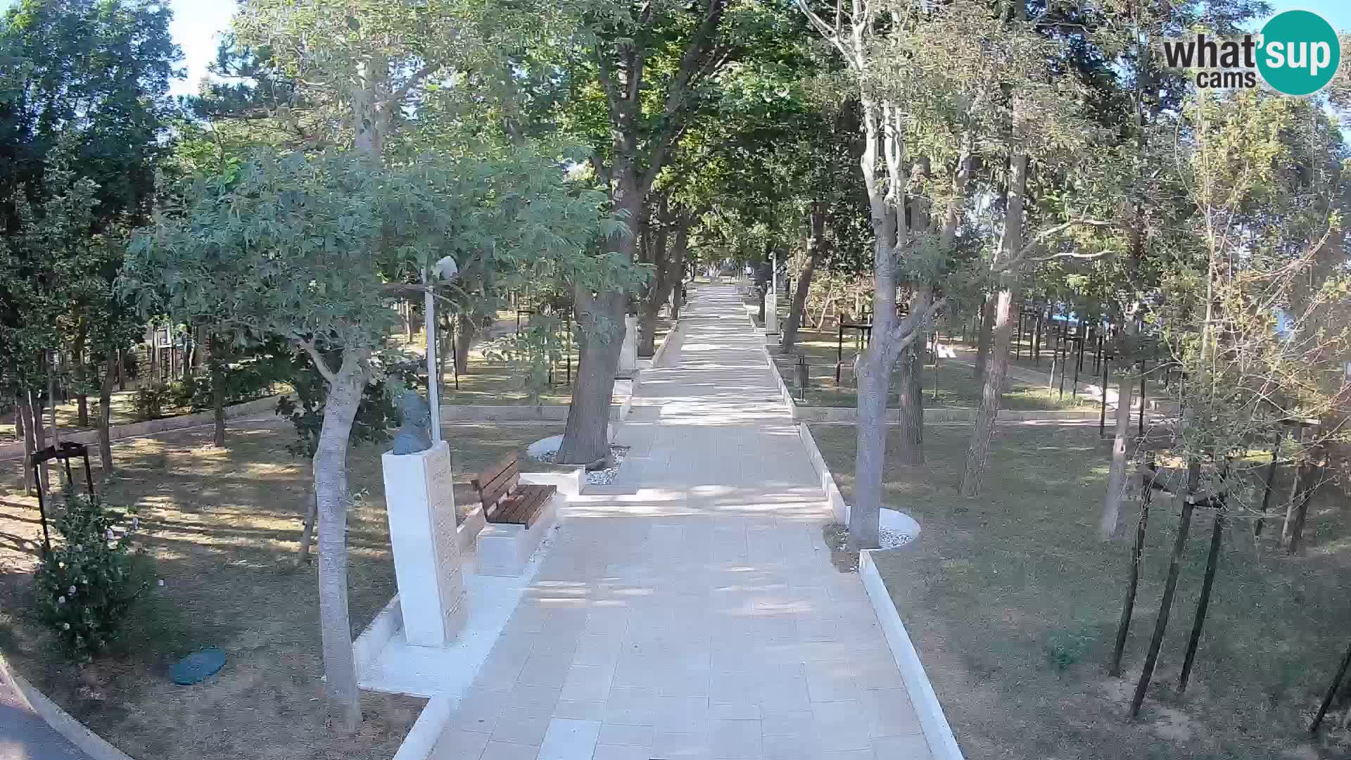 Webcam Parco degli Scrittori Segna – Diretta sul Mare
